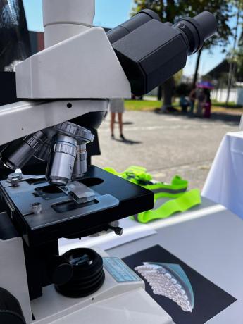 foto de microscopio lictex en el festival de ciencia